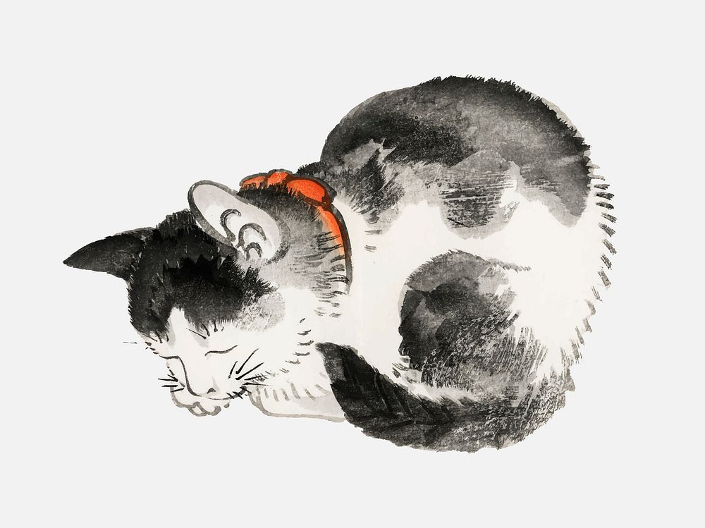 Sleeping cat by Kōno Bairei (1844-1895). Digitally enhanced from our own original 1913 edition of Bairei Gakan.