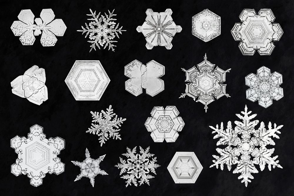 Winter snowflake psd macro photography set, remix of art by Wilson Bentley