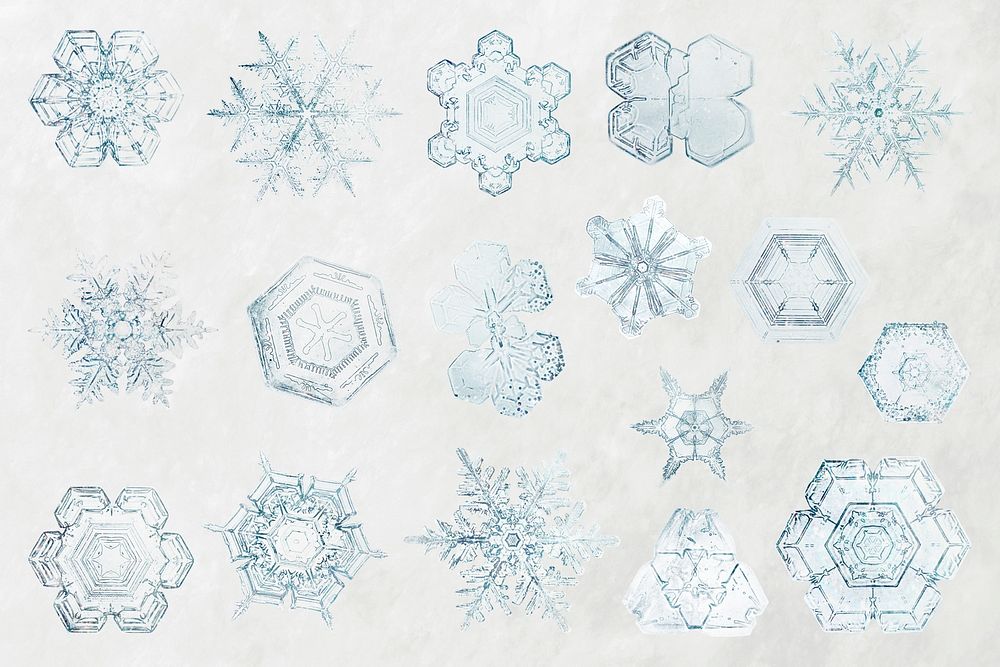 Icy snowflake psd macro photography set, remix of art by Wilson Bentley