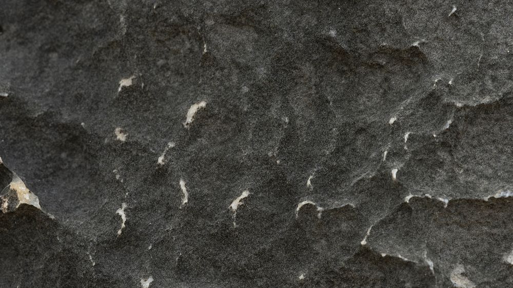 Seashore rock surface texture background