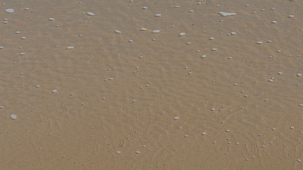 Foam bubbles water on the beach
