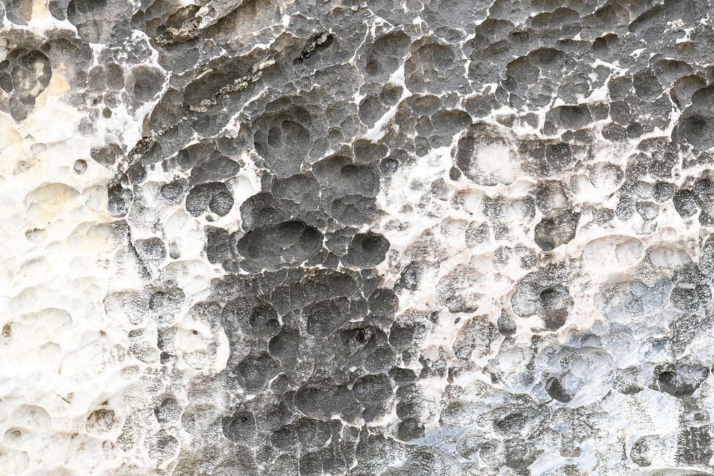 Marine rock texture background