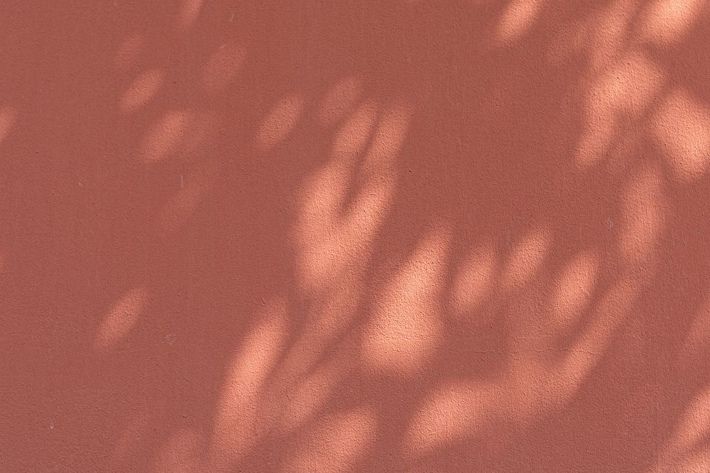 Shadow of leaves on an orange wall