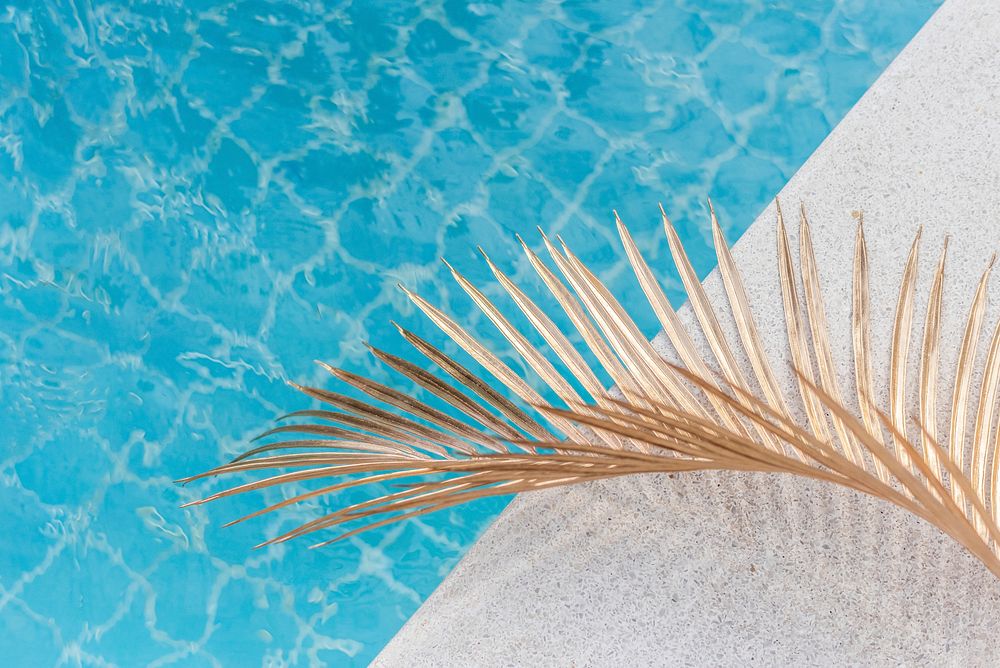 Blue swimming pool water texture with palm leaf in a sunny day
