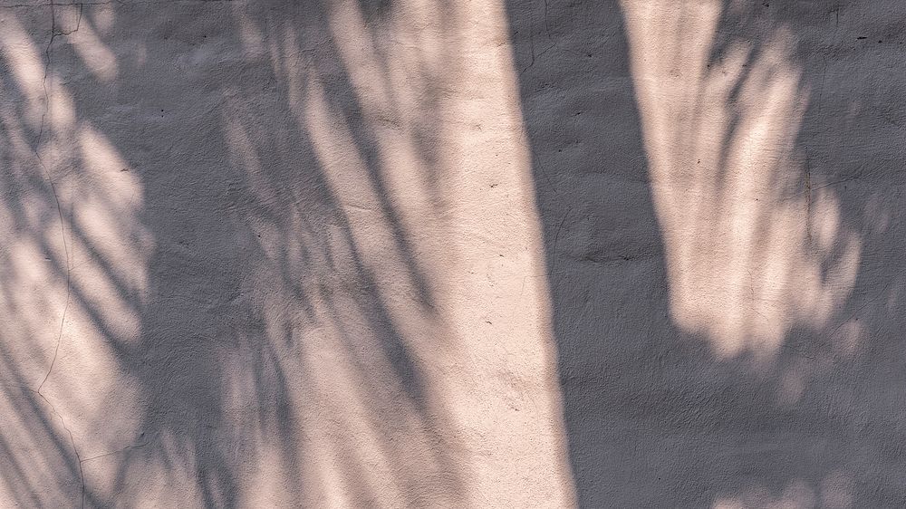 Shadow of leaves on a concrete wall