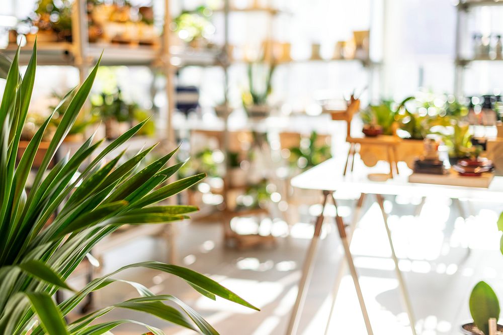 Blurred plant shop with morning sunlight