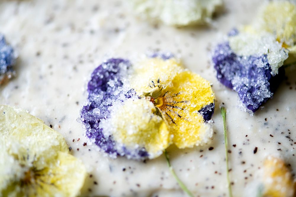 Sponge cake decorated with violets