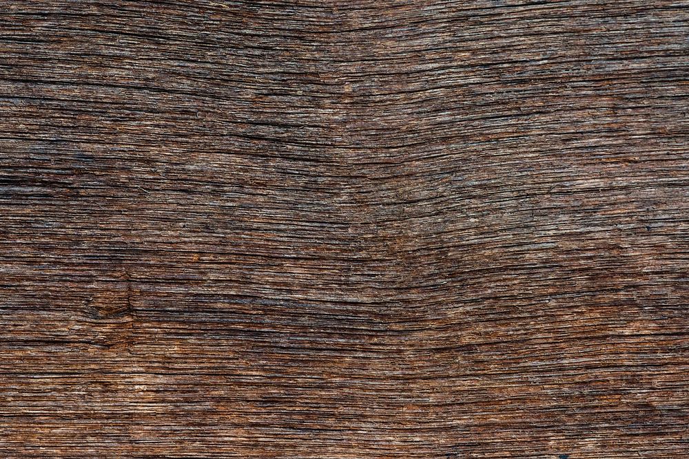 Wood texture background | High resolution design