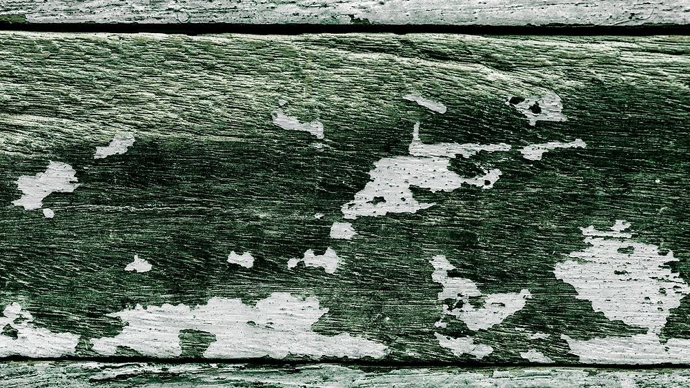 Green weathered wooden texture background image