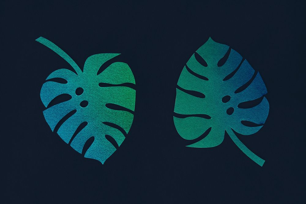Paper craft split leaf philodendron