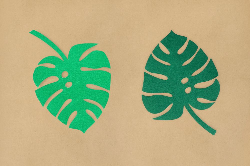 Paper craft split leaf philodendron