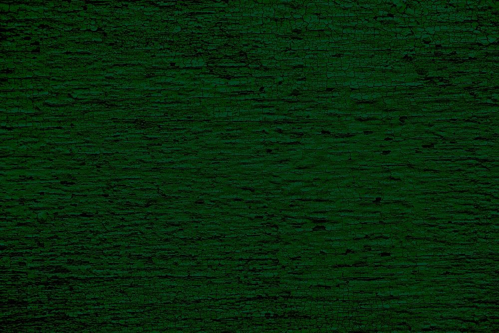 Plain dark green texture background