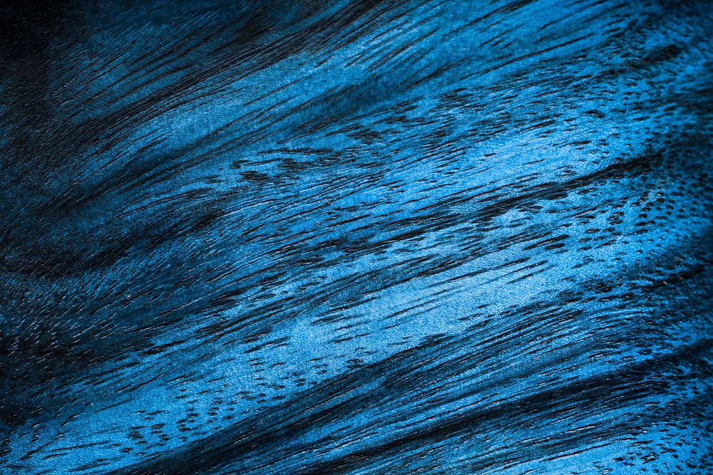 Dark blue wood texture wallpaper 