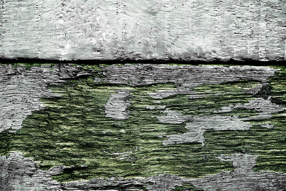 Chipped green paint wood texture