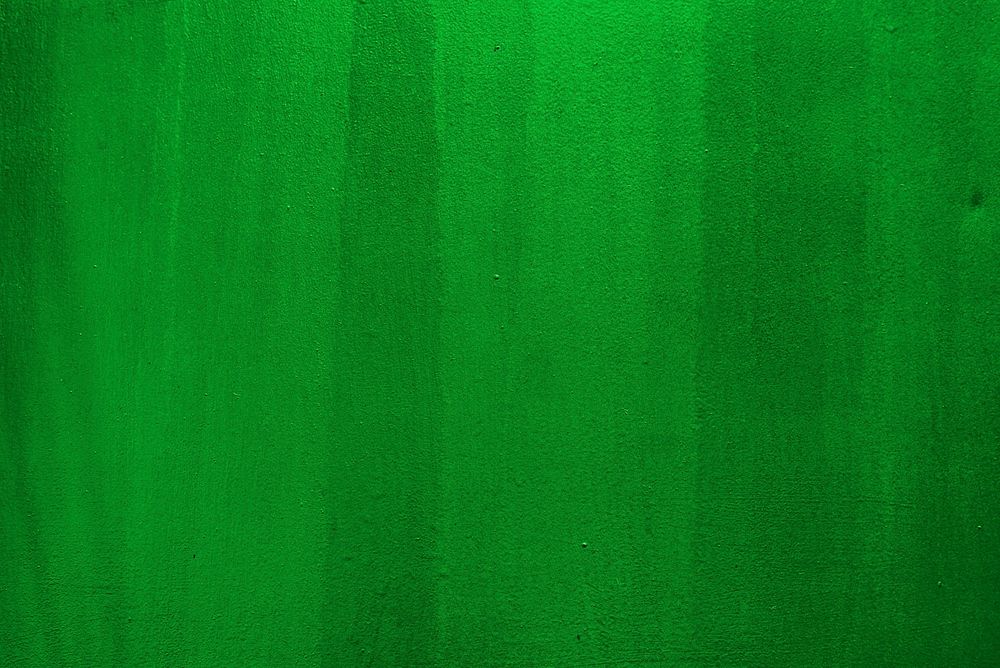 Blank green painted wall textured wallpaper