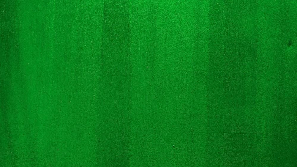 Blank green painted wall textured banner background