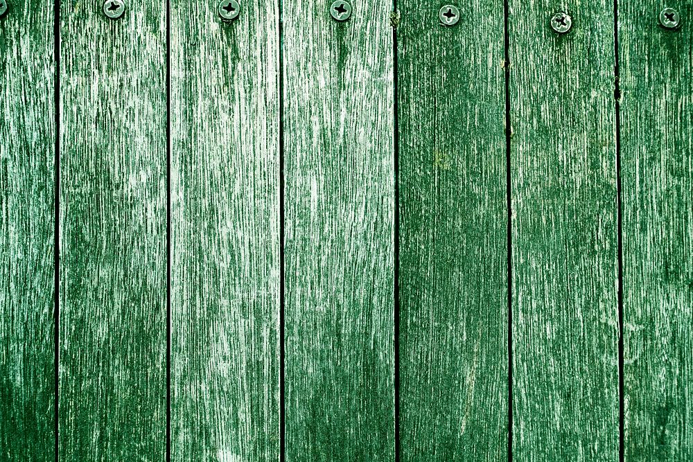 Forest green plank wood texture surface
