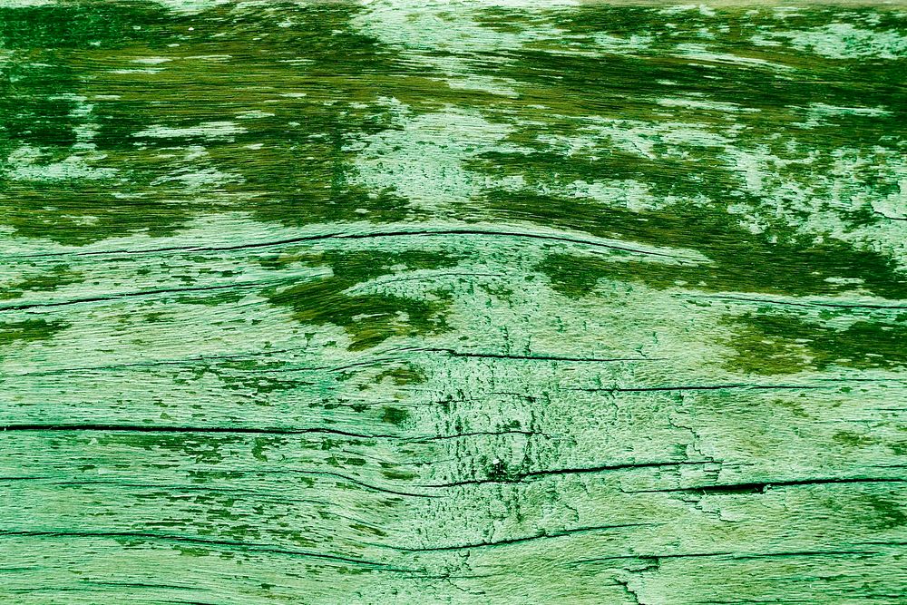 Chipped green paint wood texture