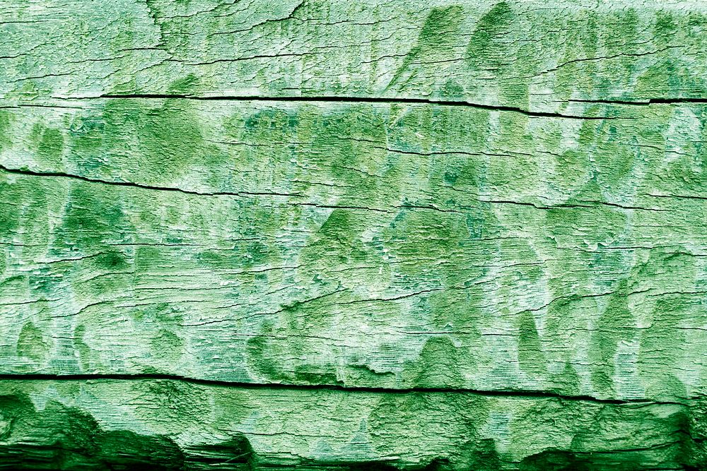 Green rigid wooden surface texture