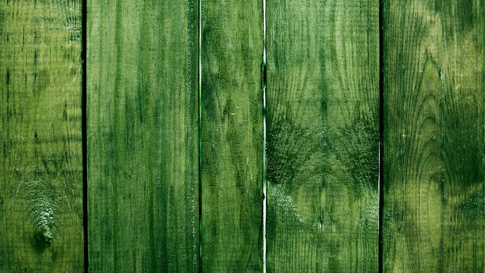 Moss green plank wood background