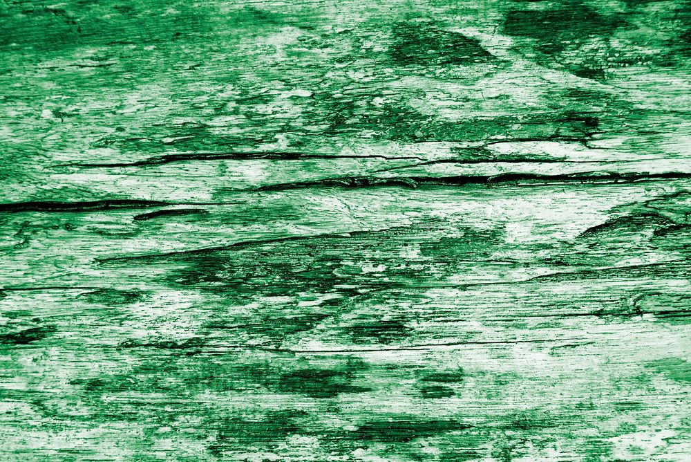 Dark green wood texture background