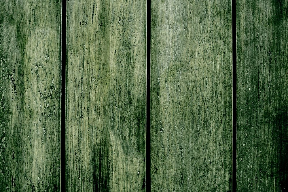 Green plank wood surface texture