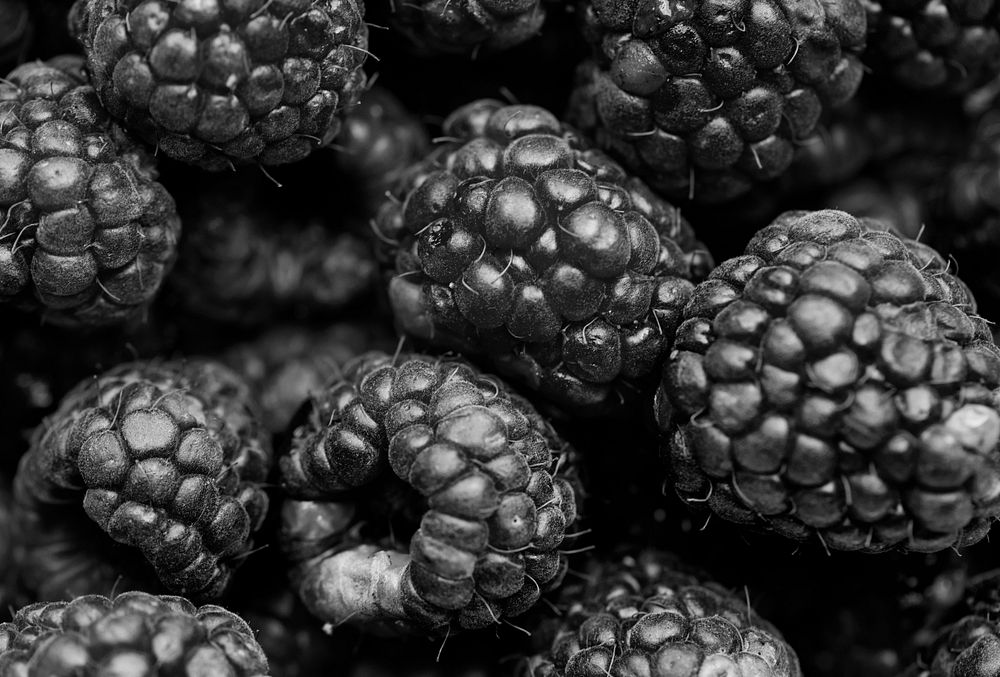 Black and white macro shot of raspberry background