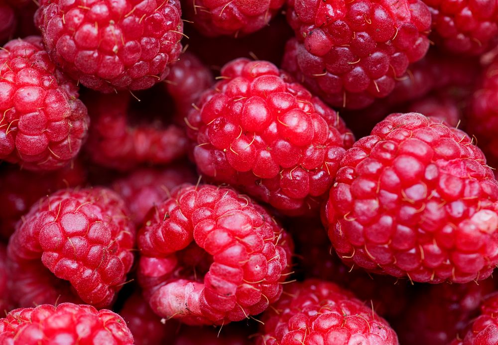 Macro shot of red raspberry background