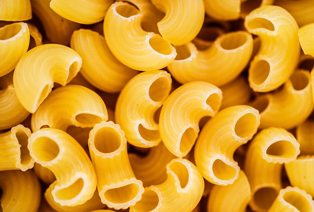 Close up of macaroni elbow