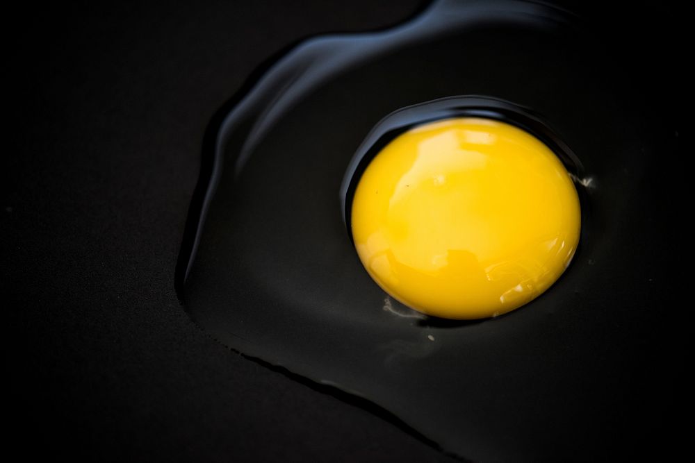 Closeup of raw egg