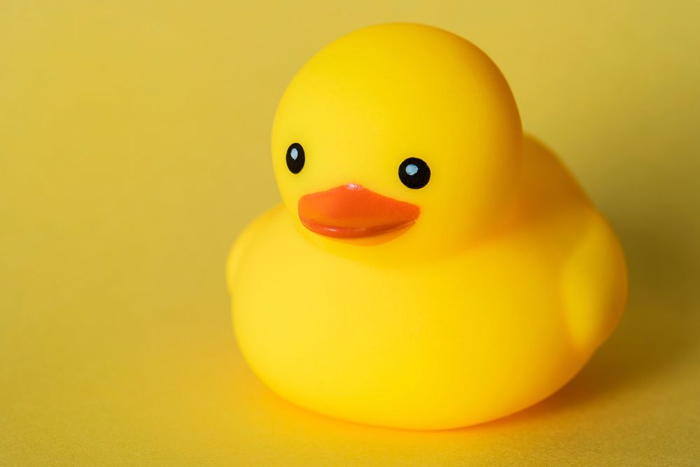 Closeup of rubber duck | Free Photo - rawpixel