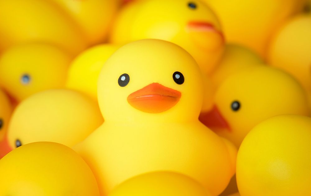 Closeup of rubber duckies | Free Photo - rawpixel