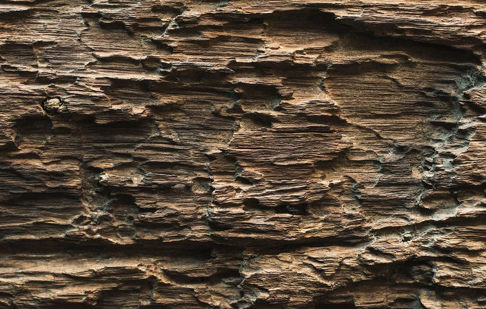 Rough timber textured background design