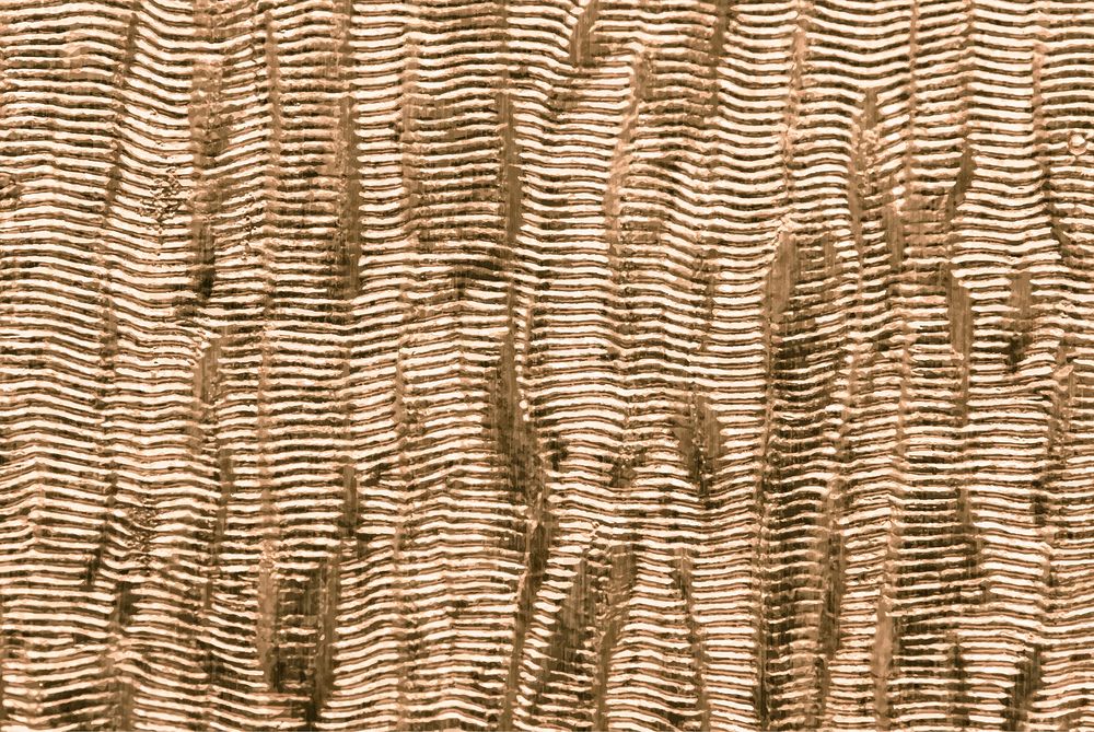 Golden shiny fabric textured background vector
