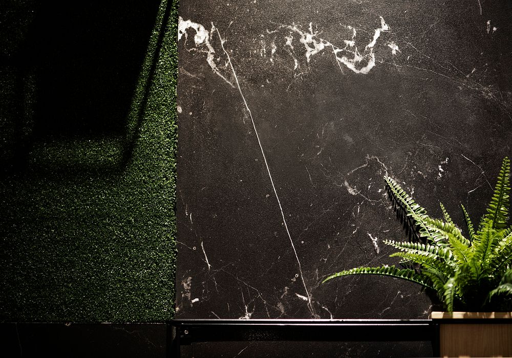 Beautiful black marble stone wall and plants