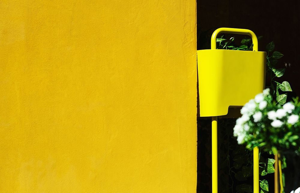Summer garden with a yellow wall