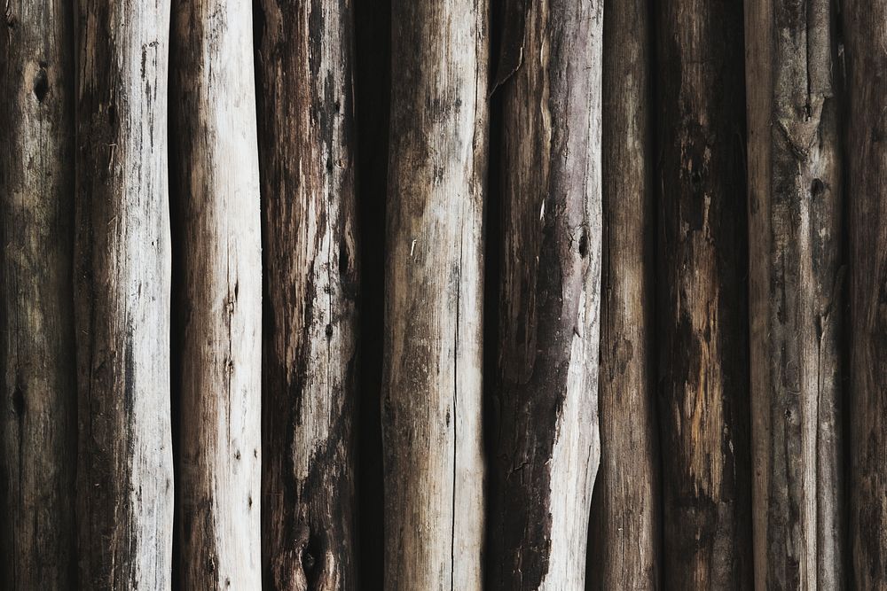 Beige wood logs textured background