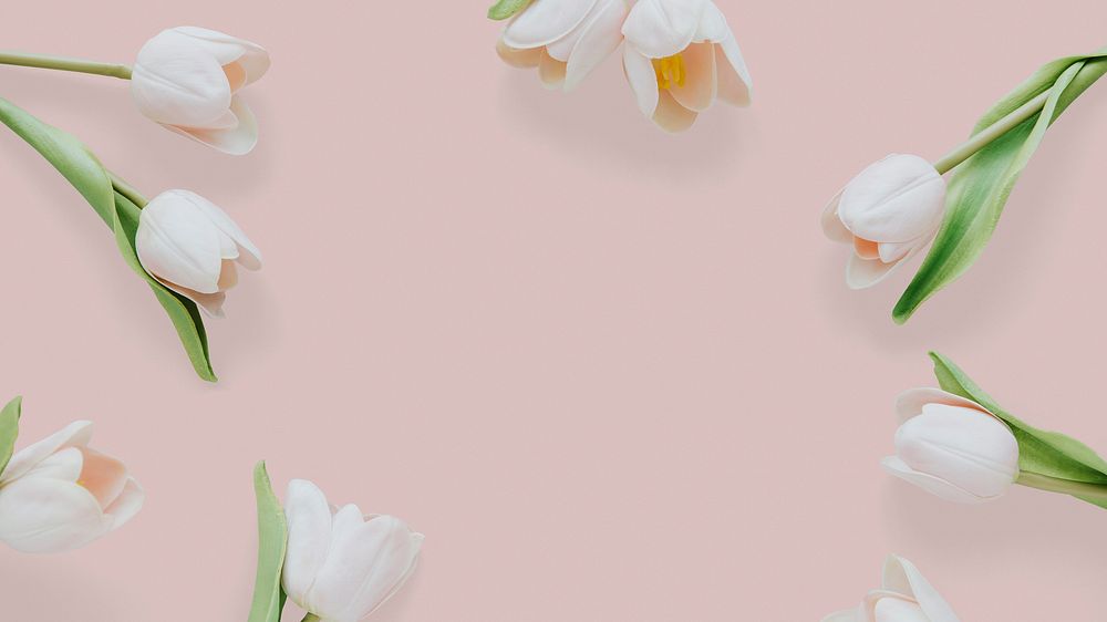 Tulips desktop HD wallpaper, pink feminine flower background