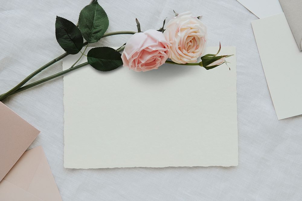 Blank white card template