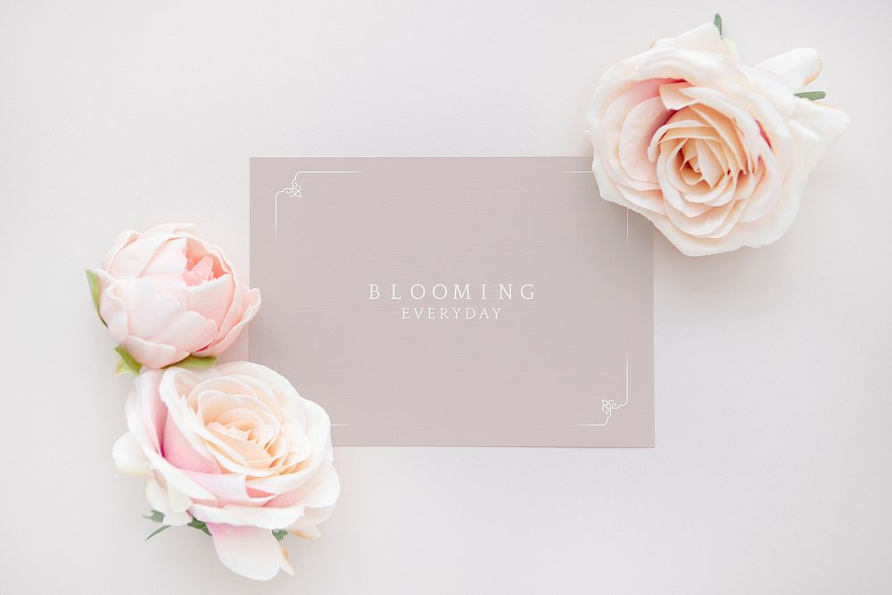 Blank pink card template