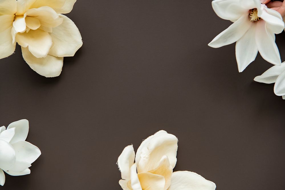 White magnolia pattern background