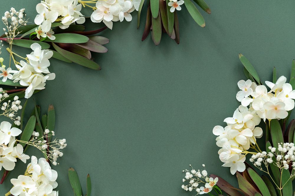 White flower frame on green background