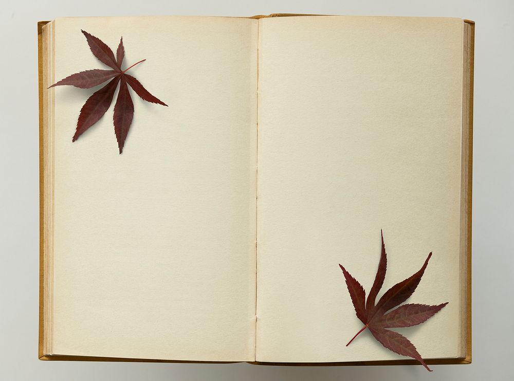 Old grunge notebook with dried leaves