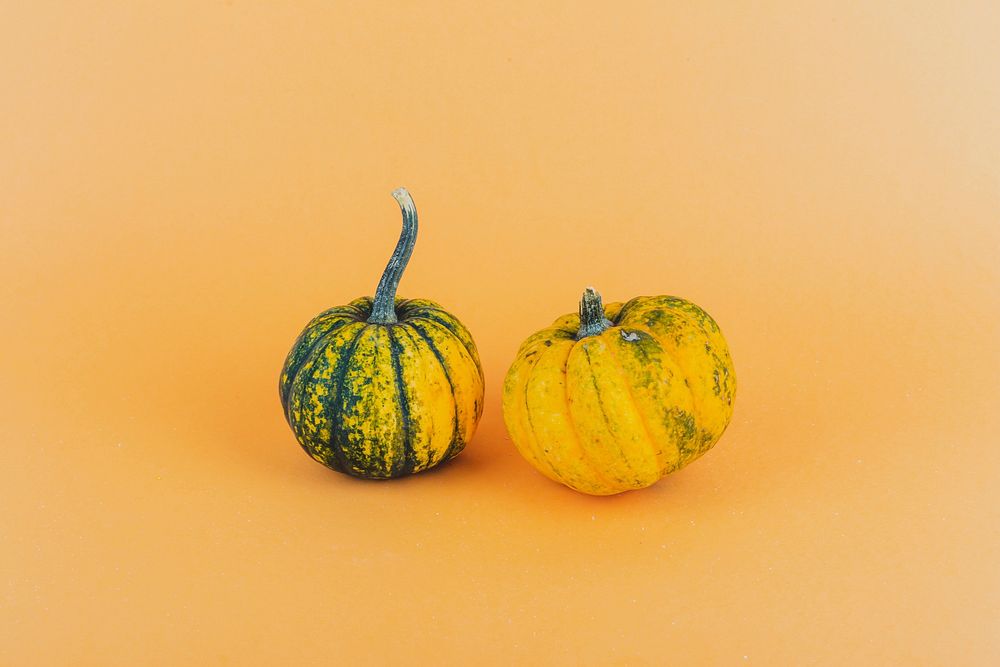 A pair of small pumpkins on yellow background
