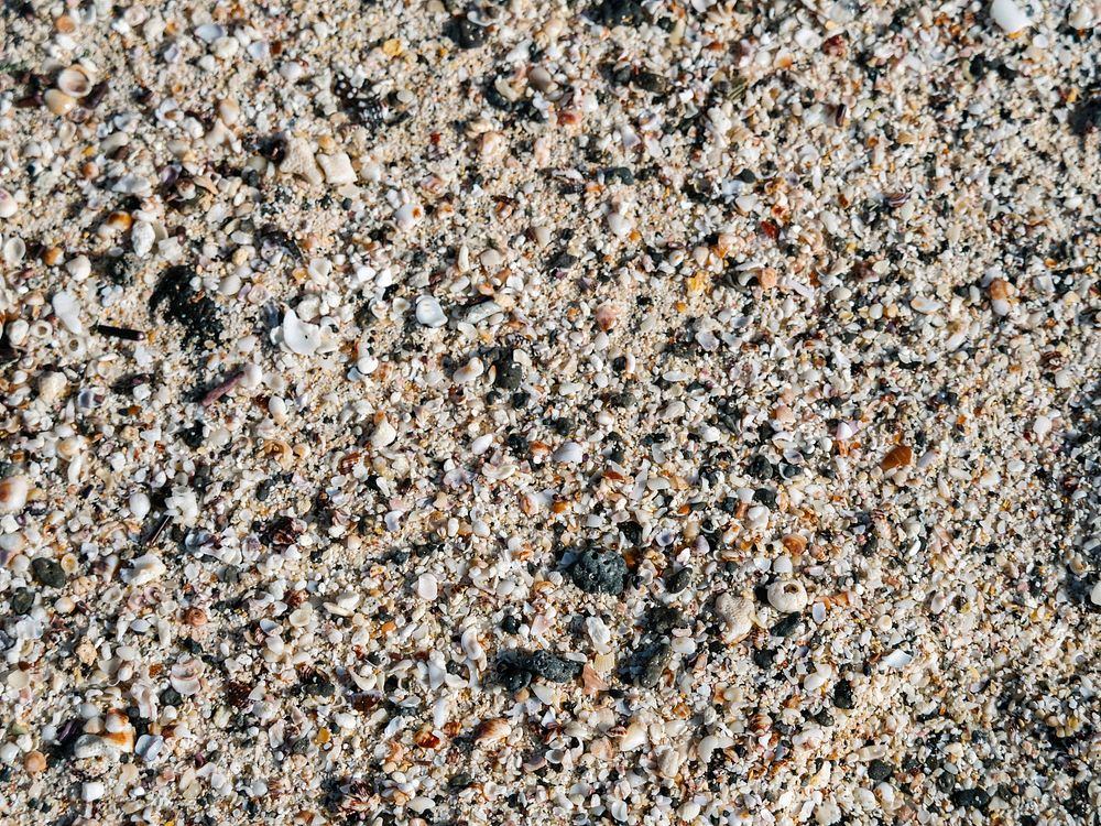 Sand at the Gal&aacute;pagos Islands, Ecuador