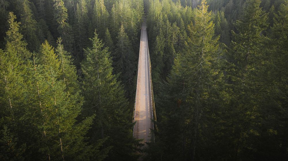 Forest desktop wallpaper bridge in nature background
