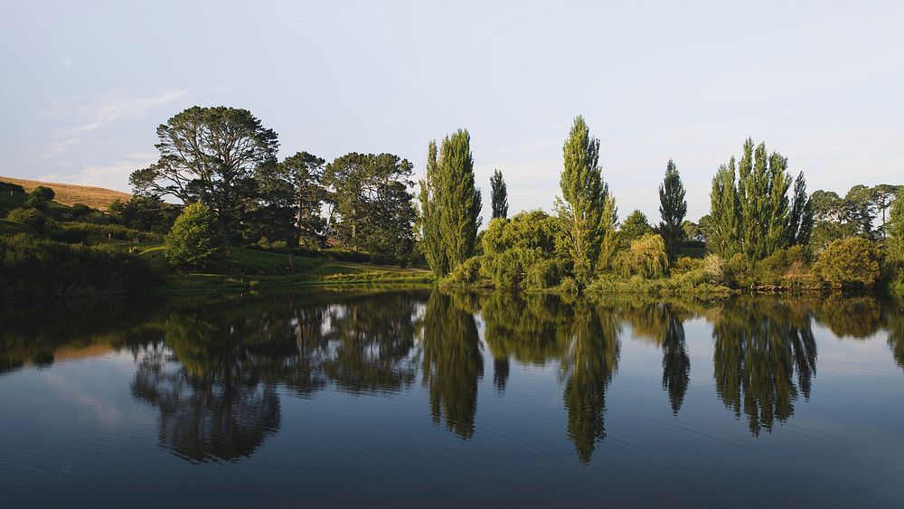 Nature desktop wallpaper background, green trees by a lake