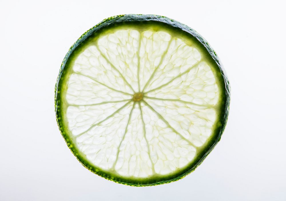 Slice of freshly cut lime