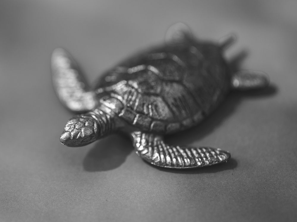 Metallic and dark turtle figure
