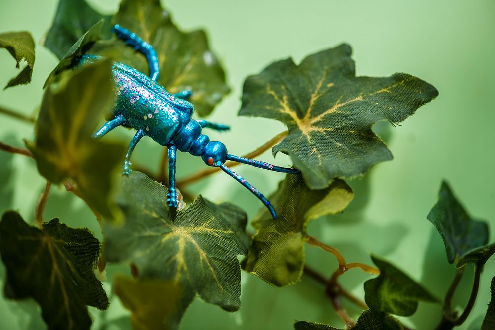 Plastic insect among green leaves